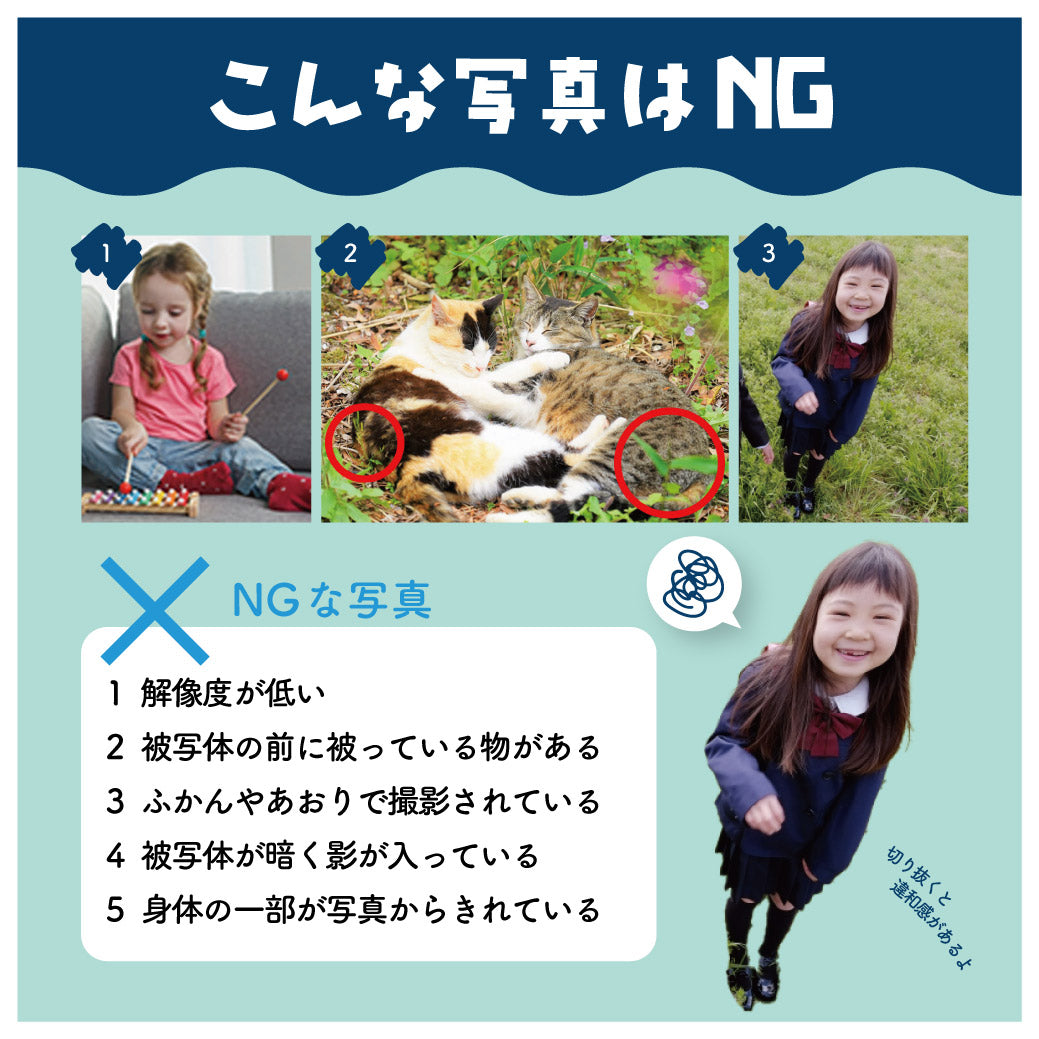 七五三_蒼_菊