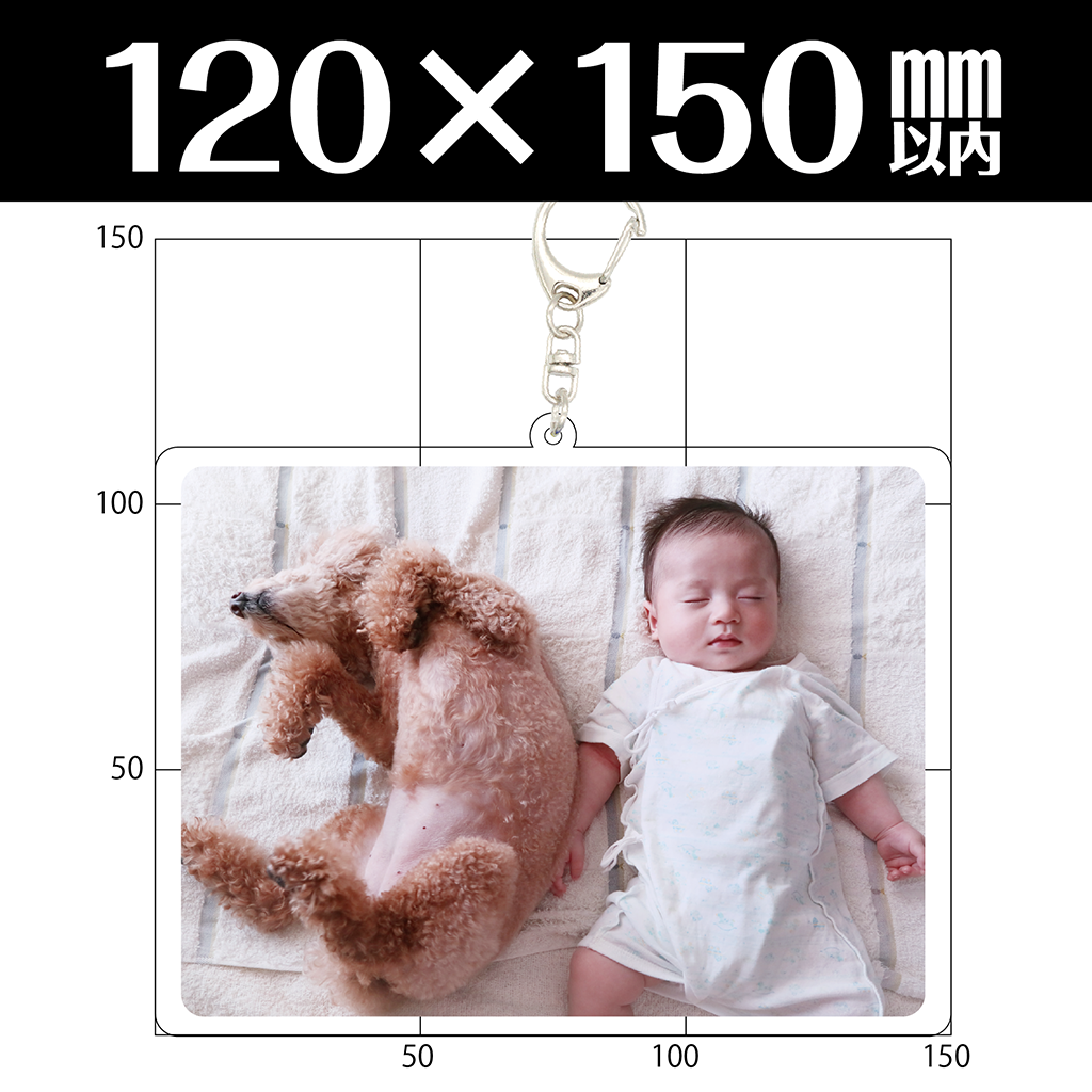 アクリルキーホルダー(120×150mm以内)